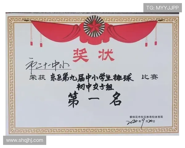 南京排球队在全国排球比赛经验排行榜中荣登第九名展现实力与潜力