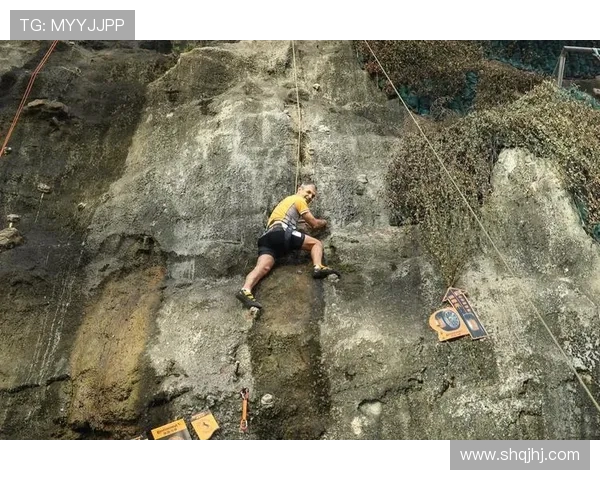 城市马拉松赛事回顾：杭州攀岩队的速度与耐力表现分析